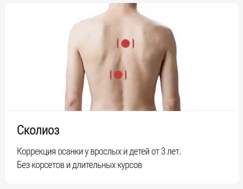 33.7